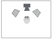 Schematic of stimuli presentation