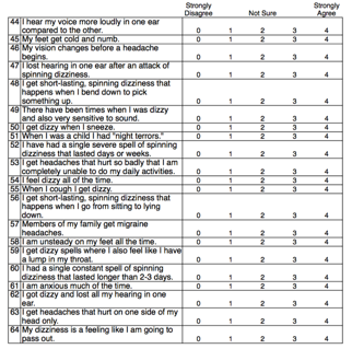  64-item Dizziness Symptom Inventory randomized subject response form