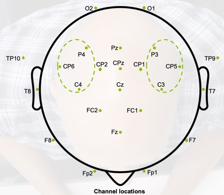 2D representation of EEG cap worn during testing