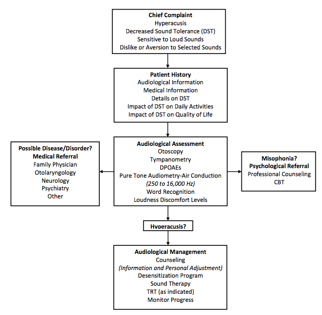 Protocol for the assessment of a patient with concerns about loud sounds