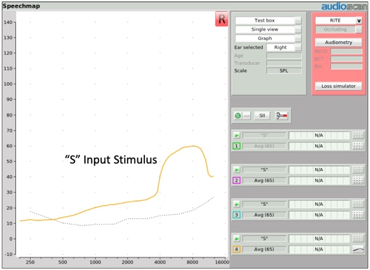 S input stimulus