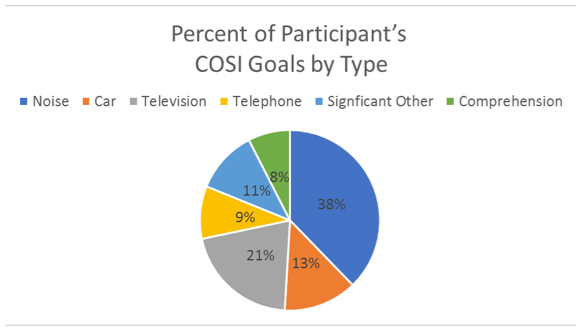 The 60 nominated COSI listening situations grouped into six general categories