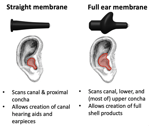 Straight versus full ear membranes