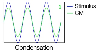Condensation polarity of CM