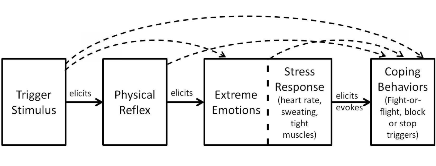 Hypothetical Misophonic Response Chain by Tom Dozier