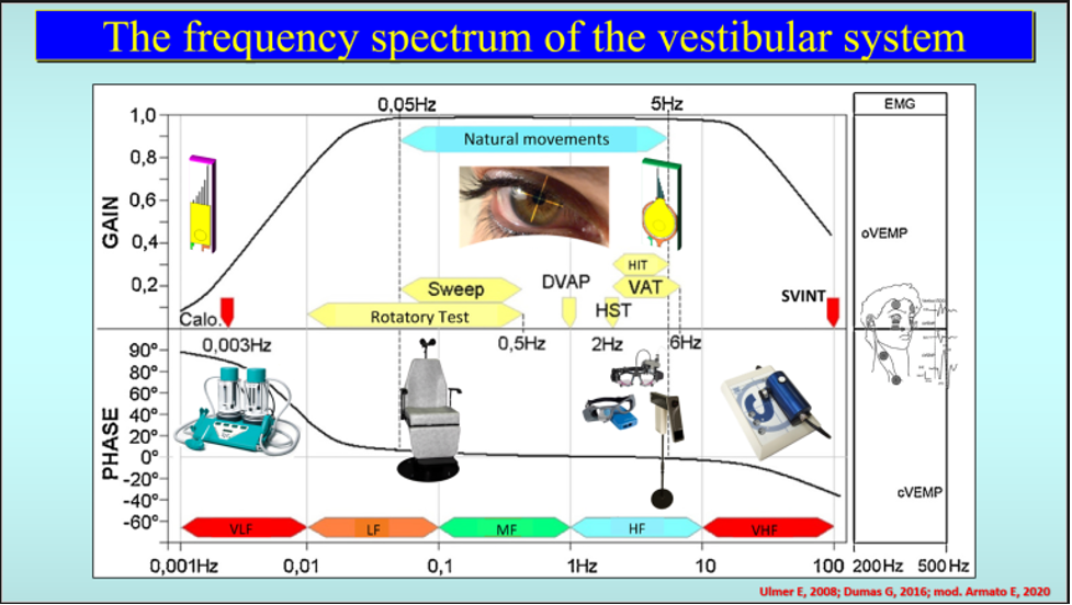 The frequency spectrum of the vestibular system