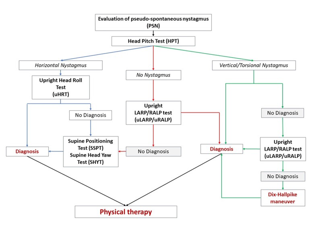 Diagnostic algorithm for BPPV according to the Minimum Stimulus Strategy (MSS) 
