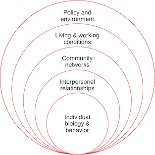 Layers of determinants including individual biology and behavior, interpersonal relationships, community networks, living and working conditions, and policy and environment