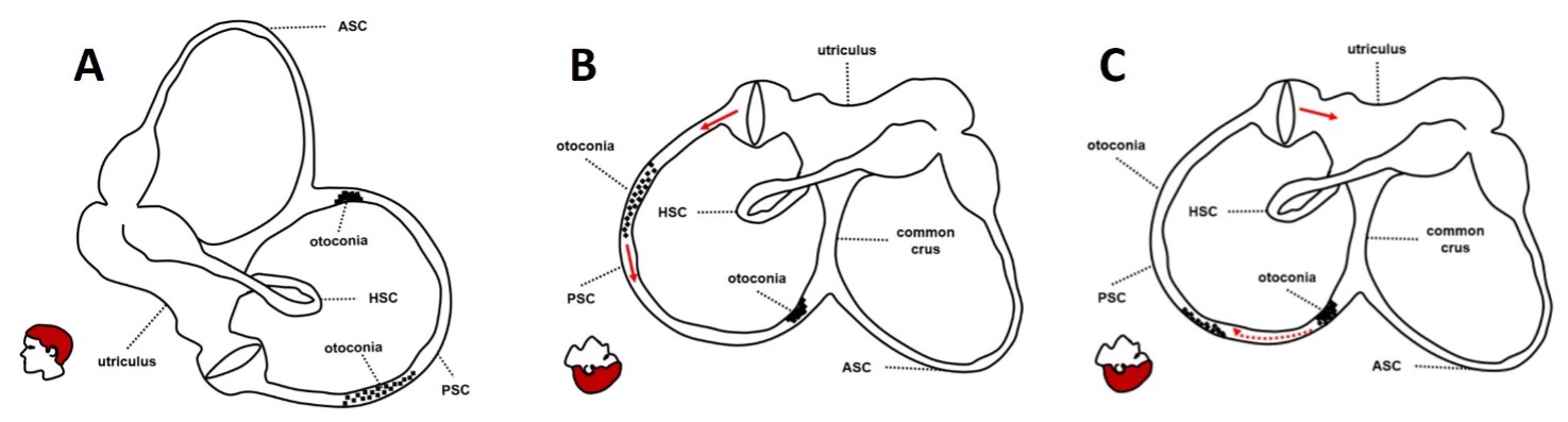 Figure 4 29195