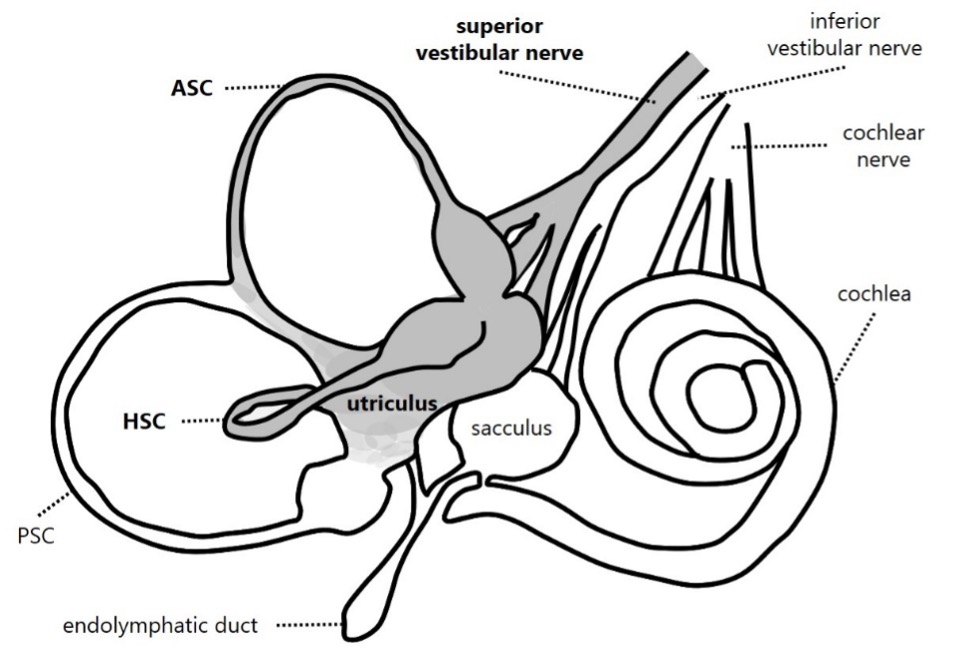 Figure 1 29330