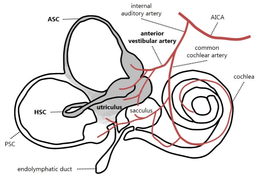 Figure 2 29330