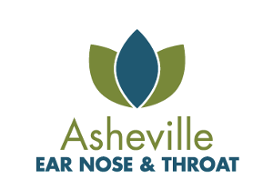 Audiologists: Can you hear it? The Blue Ridge Mountains are calling! Come enjoy the beauty of Asheville, NC!